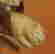 item-136164154=7