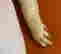 item-136164162=6