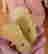 item-136164168=5