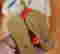 item-136164168=7