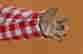 item-136164172=6