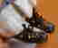 item-136164187=6
