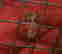 item-137252494=16