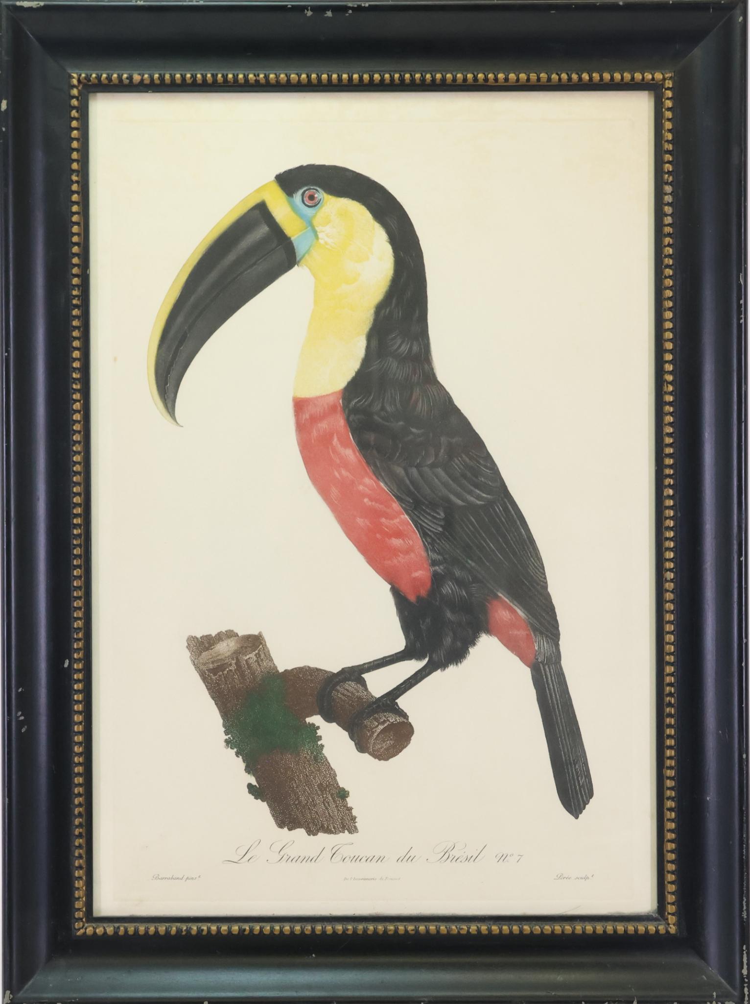 Jacques Barraband (1768 - 1809) (1 of 9)