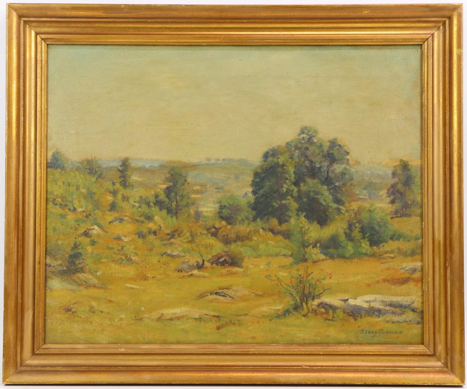 Stacy Tolman (1860 - 1935) (1 of 5)