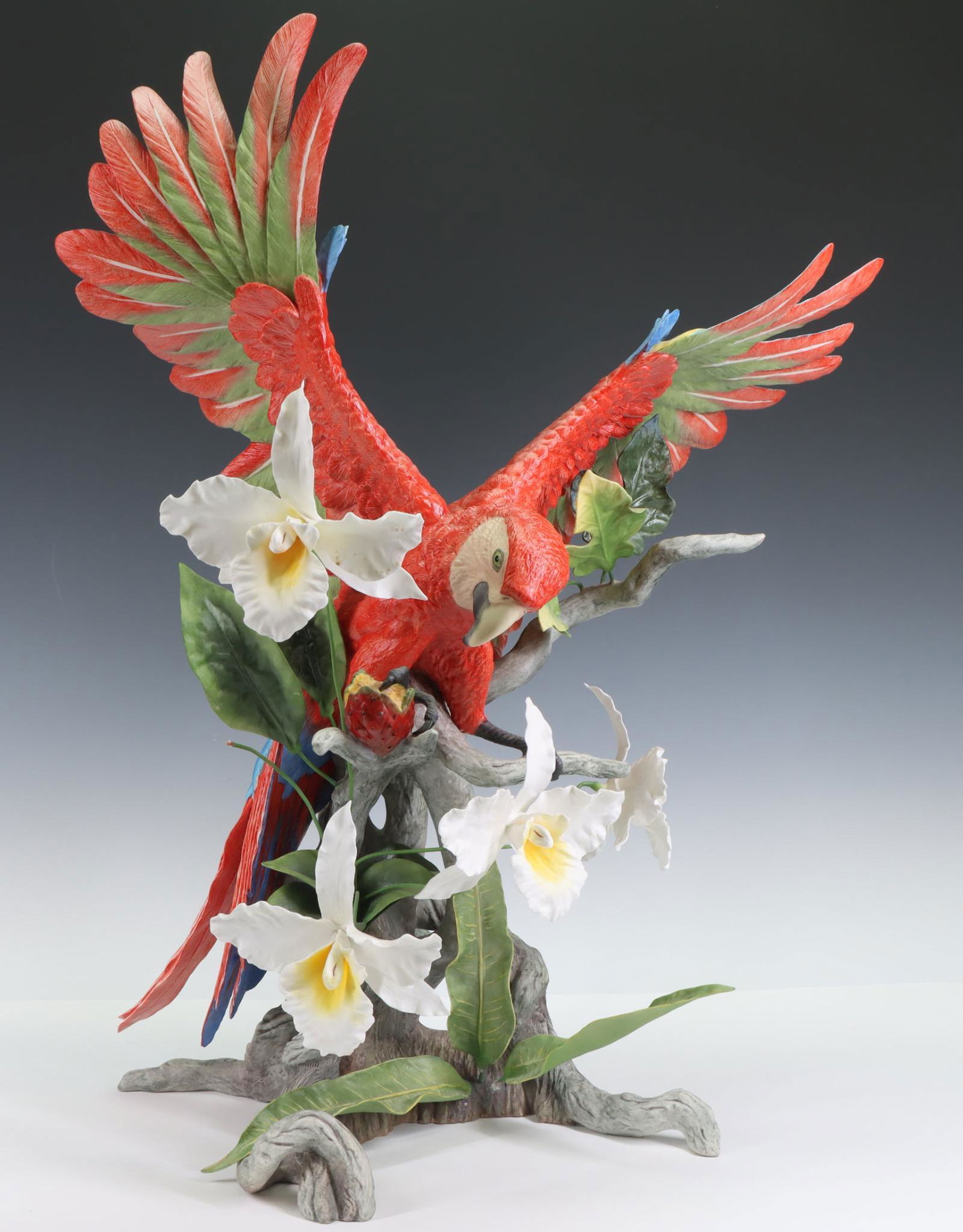 Boehm Porcelain Macaw (1 of 7)