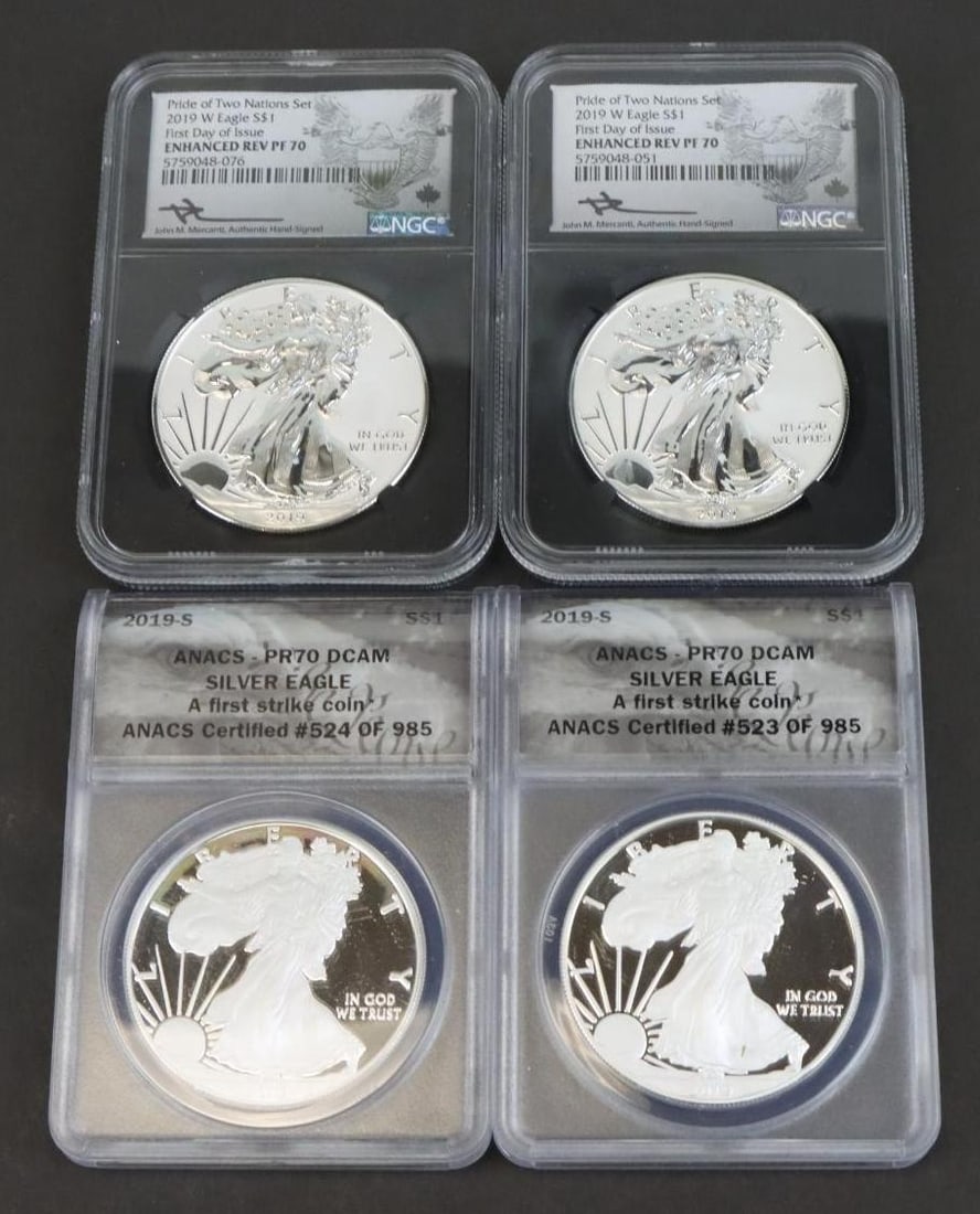 SILVER AMERICAN EAGLES (1 of 12)