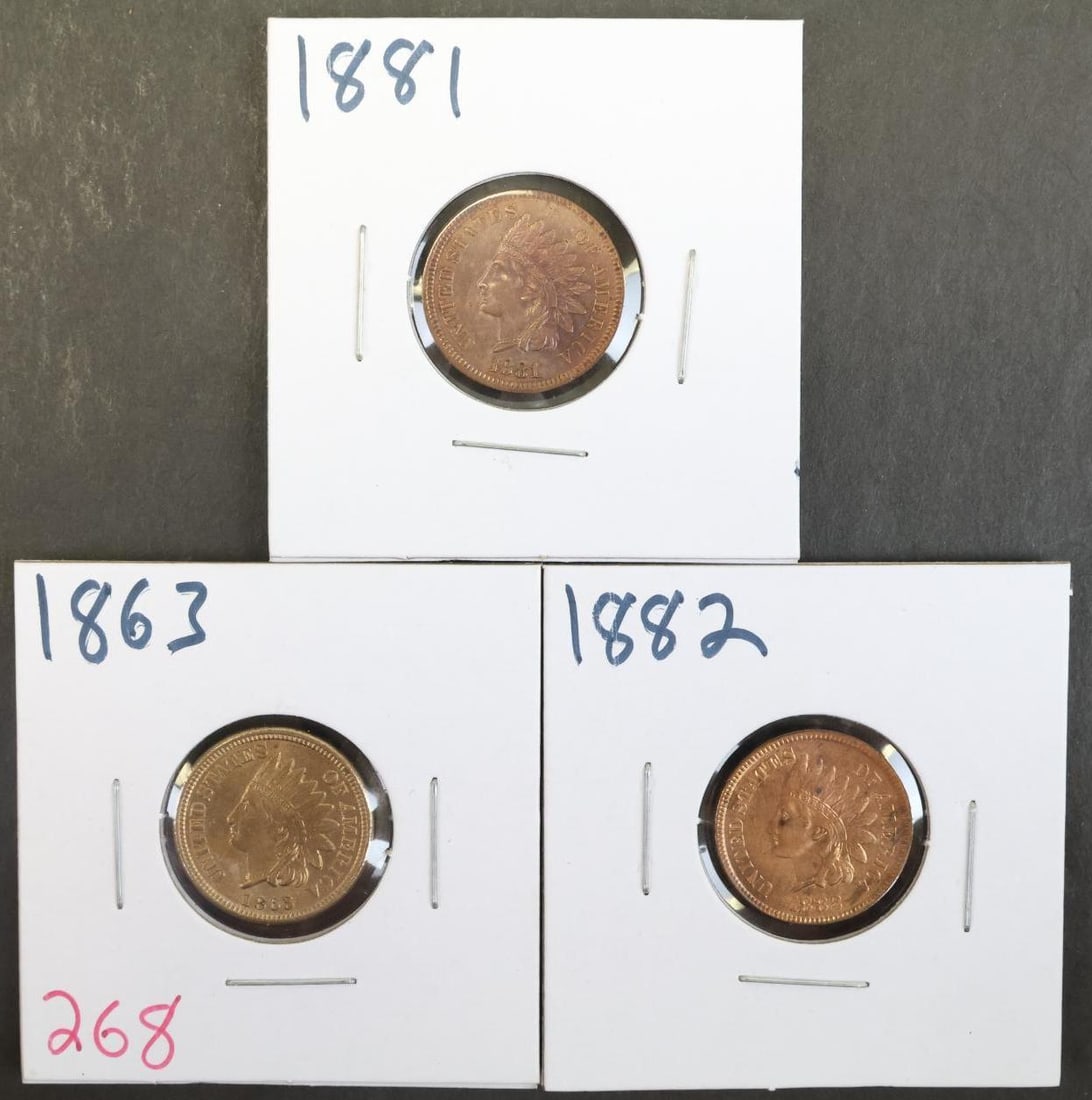 INDIAN CENTS (1 of 7)