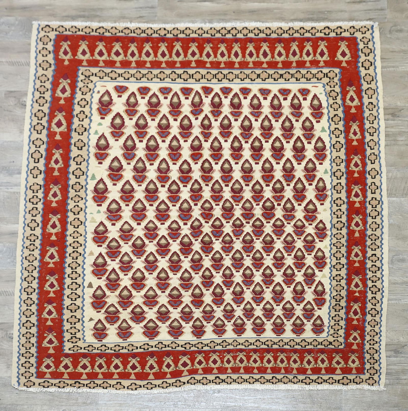 Kilim Flatweave Area Rug (1 of 7)