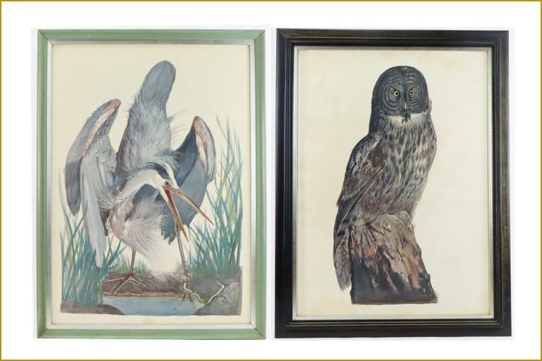 Pair of Carroll Tyson Prints (Great Blue Heron & Great Grey Owl) (1 of 8)
