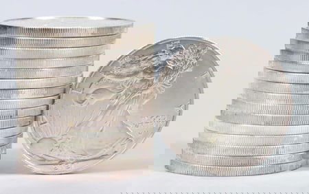 (14) 2021 1oz .999 Silver Eagles