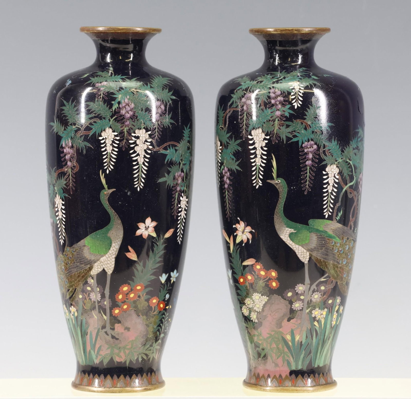 Japanese Cloisonne Vases: Meiji - Taisho era pair of Japanese cloisonne on dark purple ground decorated with peacocks and wisteria. Damage to outer coating. 6"h x 2.5"w