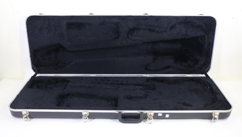 Bass Guitar Case