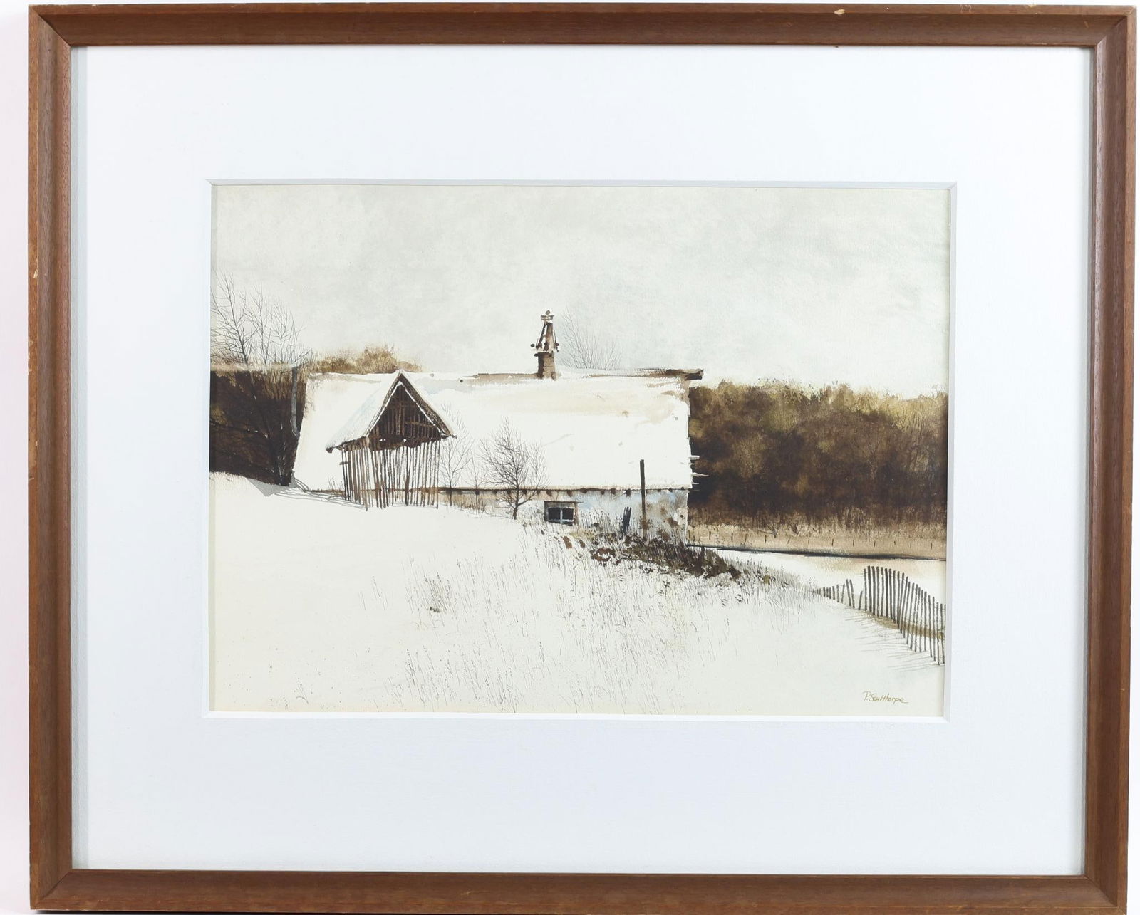 Peter Sculthorpe (Born 1948) (1 of 4)