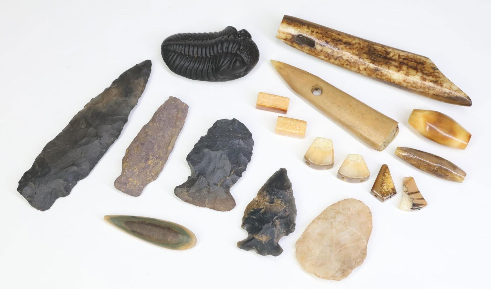 Fossils & Ethnographic Stone Implements (1 of 12)