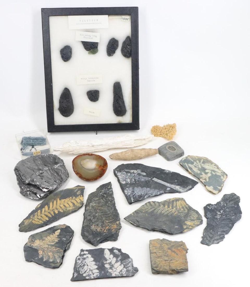 Mineral Specimens (1 of 8)