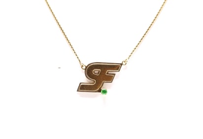 14k YG Necklace and Pendant