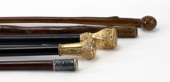 Walking Sticks & Cane Grouping