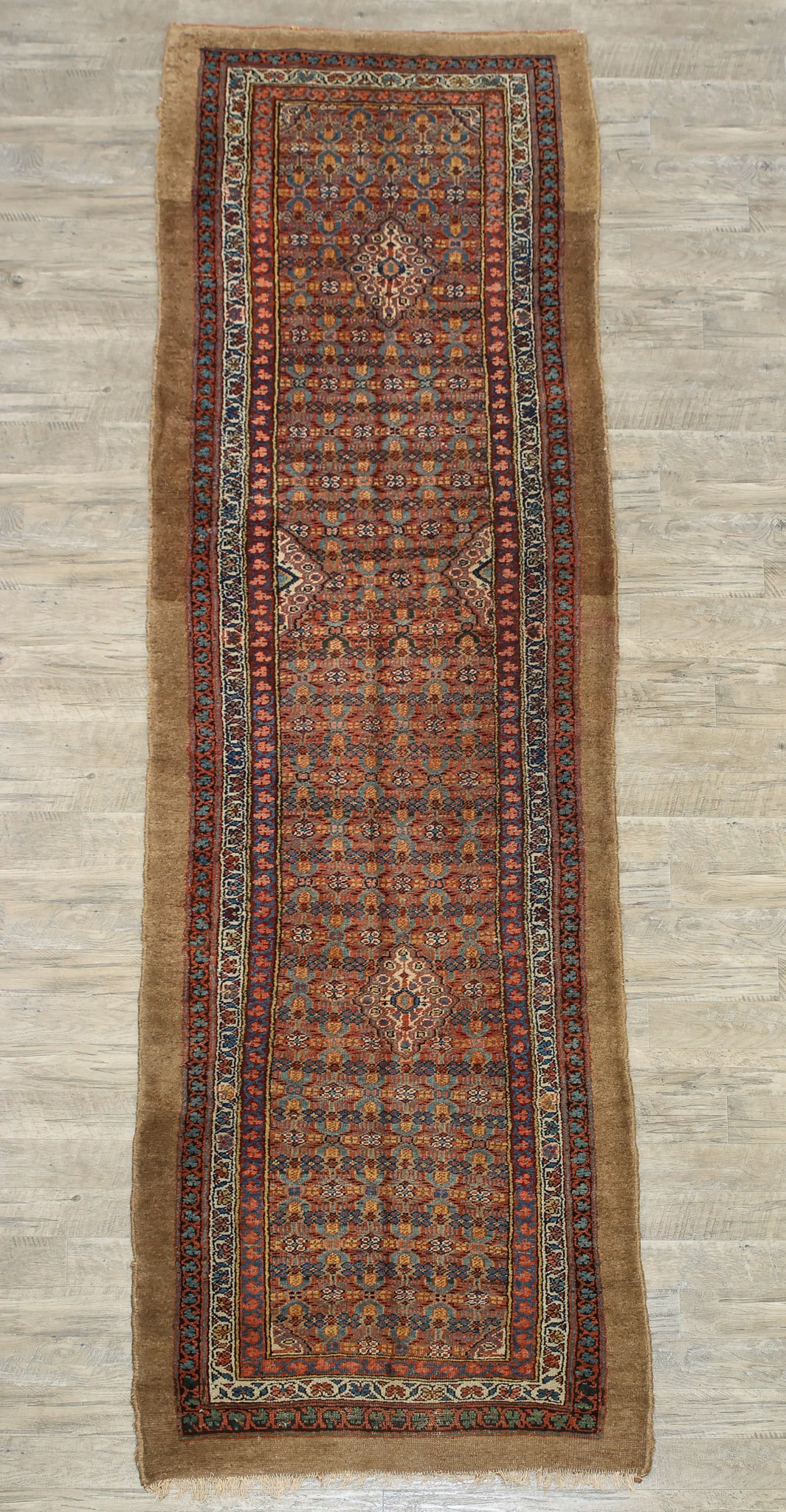 Persian Camel Hair Hamadan Runner (1 of 15)