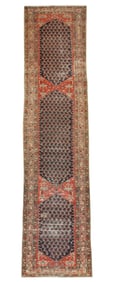 Persian Malayer Runner