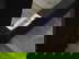 item-208869440=11