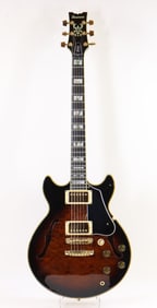 Ibanez AM205 Electric Guitar