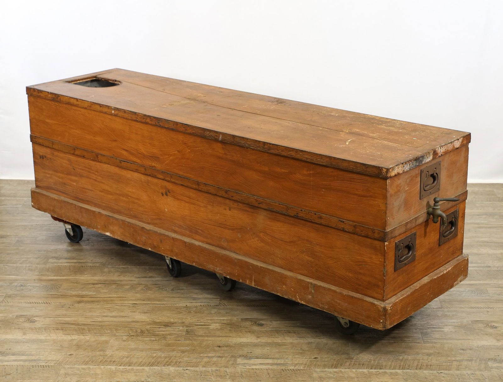 Transport/Lay-in-State Ice Casket (1 of 16)