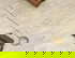 item-210768707=16
