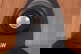 item-210768762=11