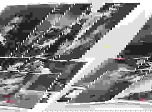 George Hurrell Portrait Portfolio Publication Auction