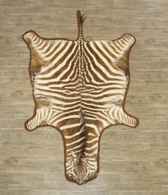Zebra Hide Rug