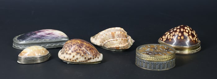 Shell and Butterfly Wing Snuff Boxes
