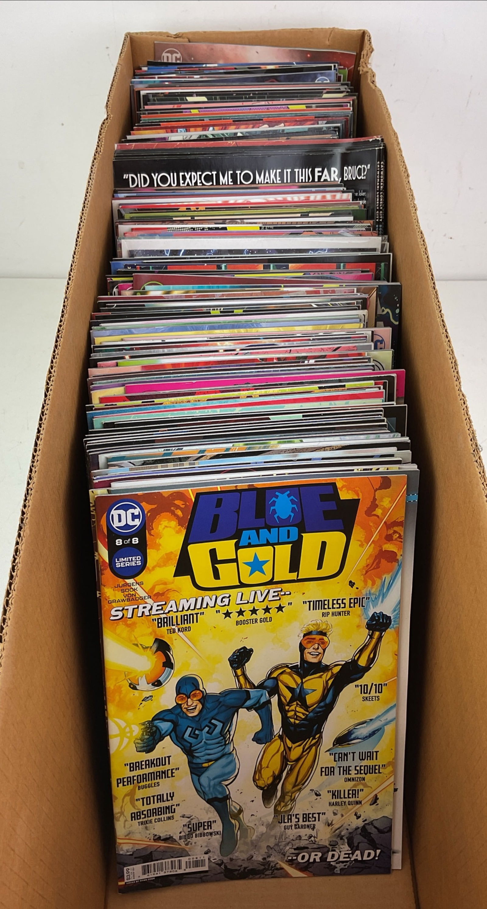 DC Comic Book Assortment: Assorted DC Comics including Crime Syndicate, Blue and Gold, Catwoman, Dark Crisis and more. Condition varies.