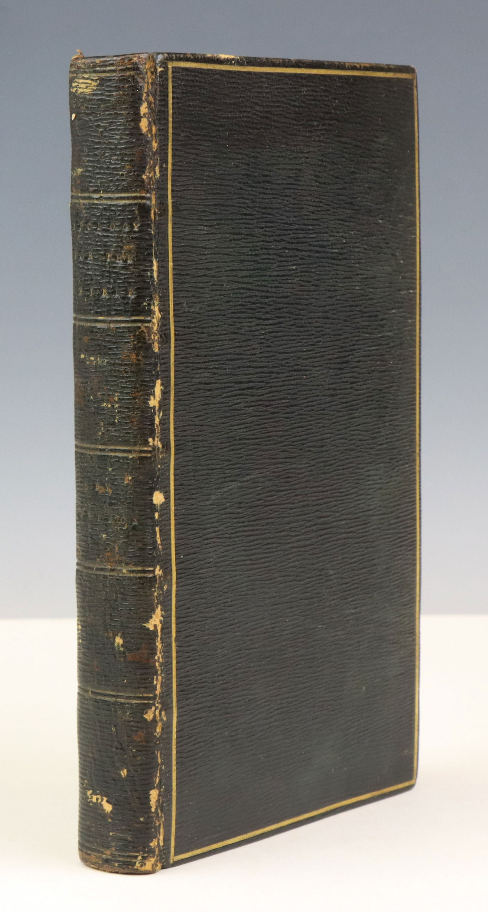 Eighteenth Century Book With Fore-Edge Painting: Book titled "An Apology for the Bible in a Series of Letters Addressed to Thomas Paine" by Richard Watson, 8th edition, published by J. Rider, London, 1799. Book is octavo in size and presents full da