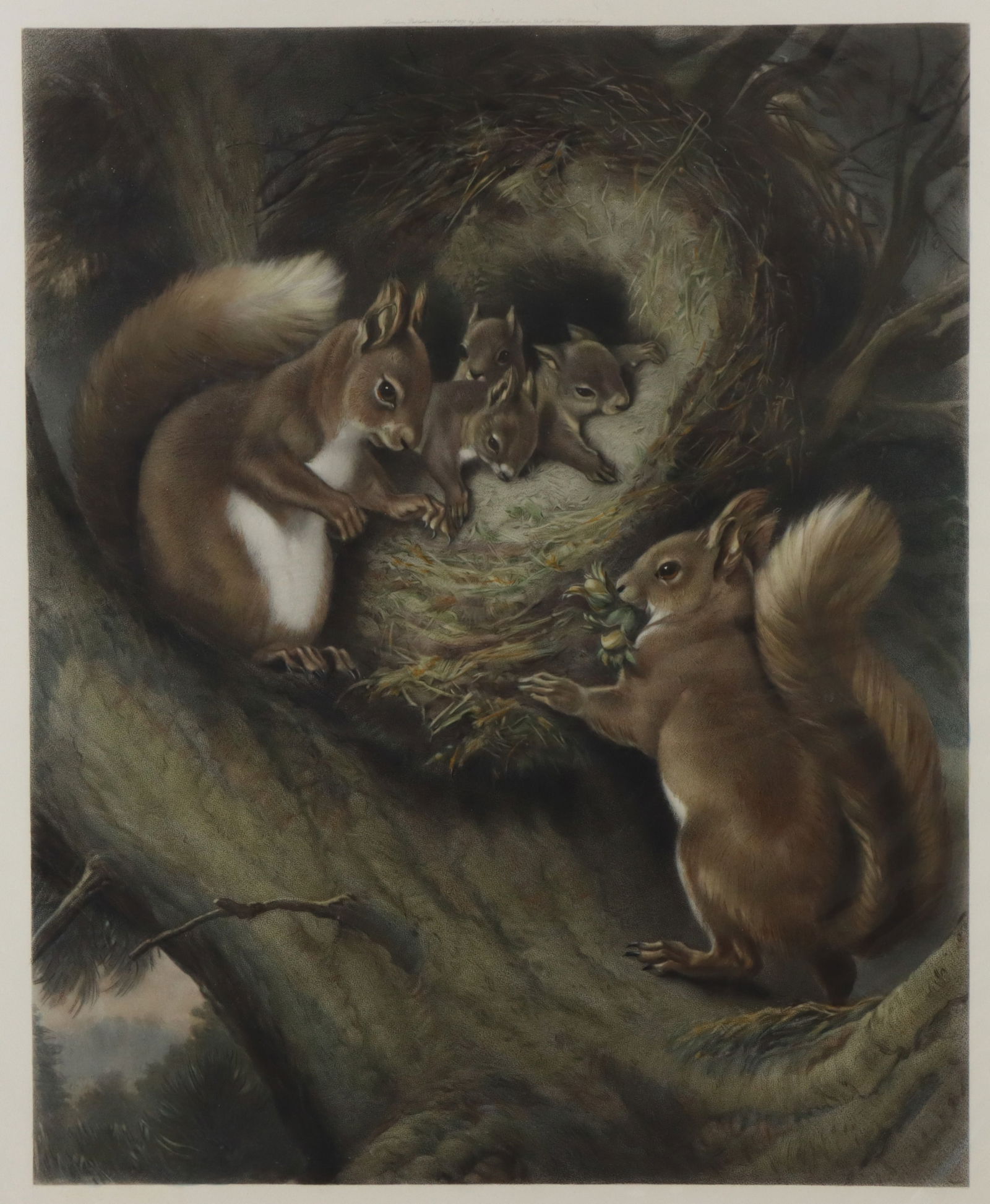 Mezzotint Print of Squirrels-Atkinson 1878 (1 of 8)