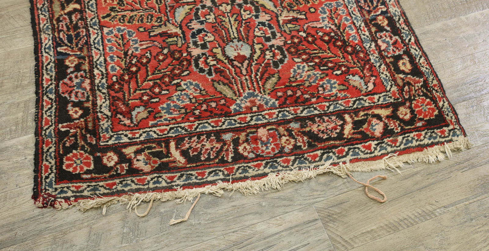 Northwest Persian Runner - 10