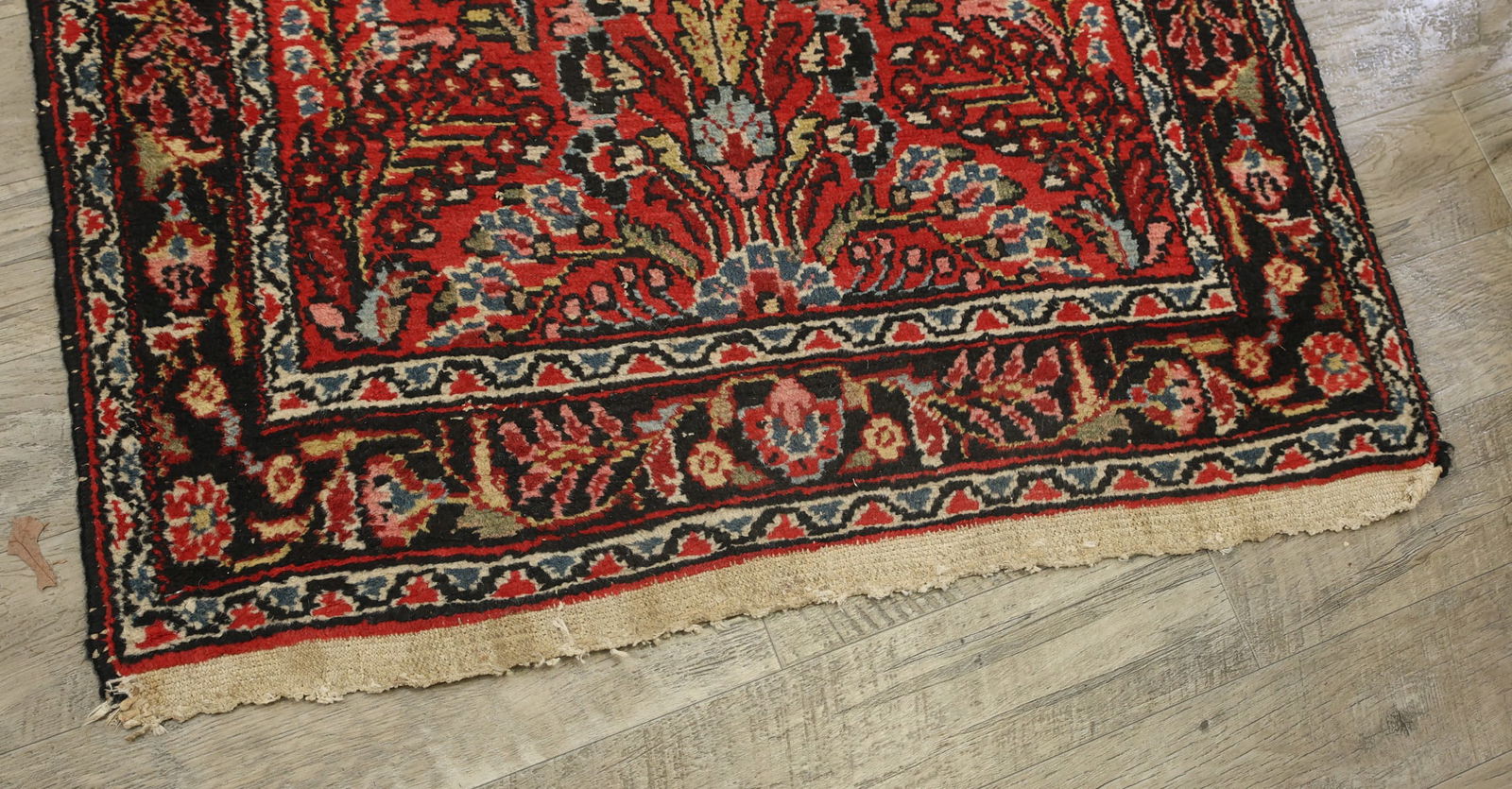 Northwest Persian Runner - 11
