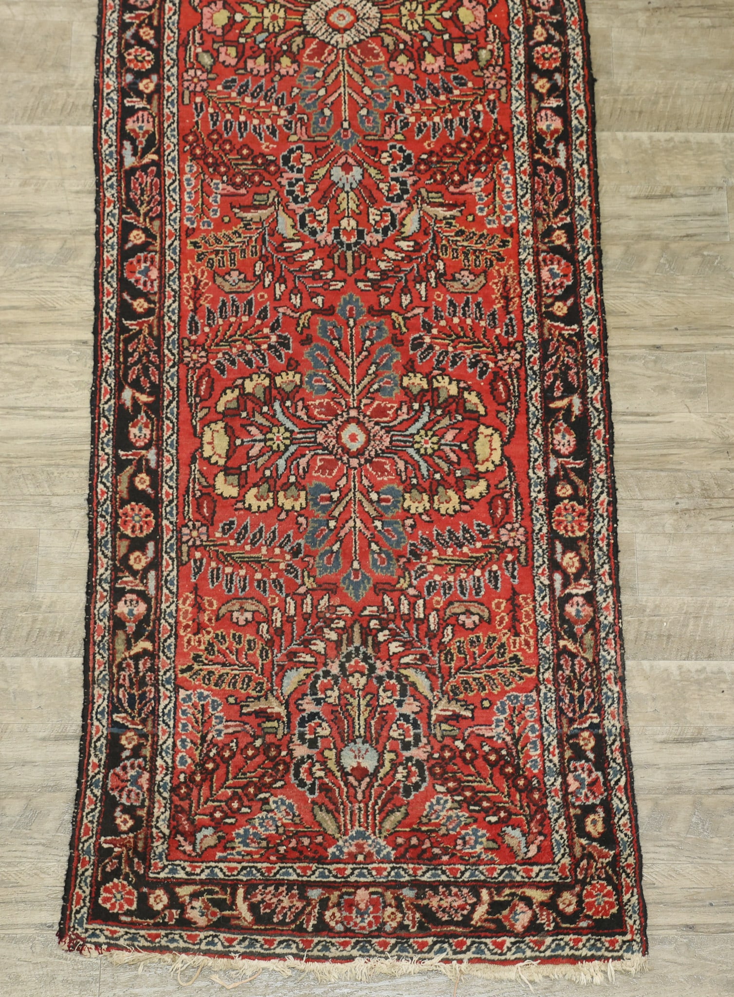 Northwest Persian Runner - 3