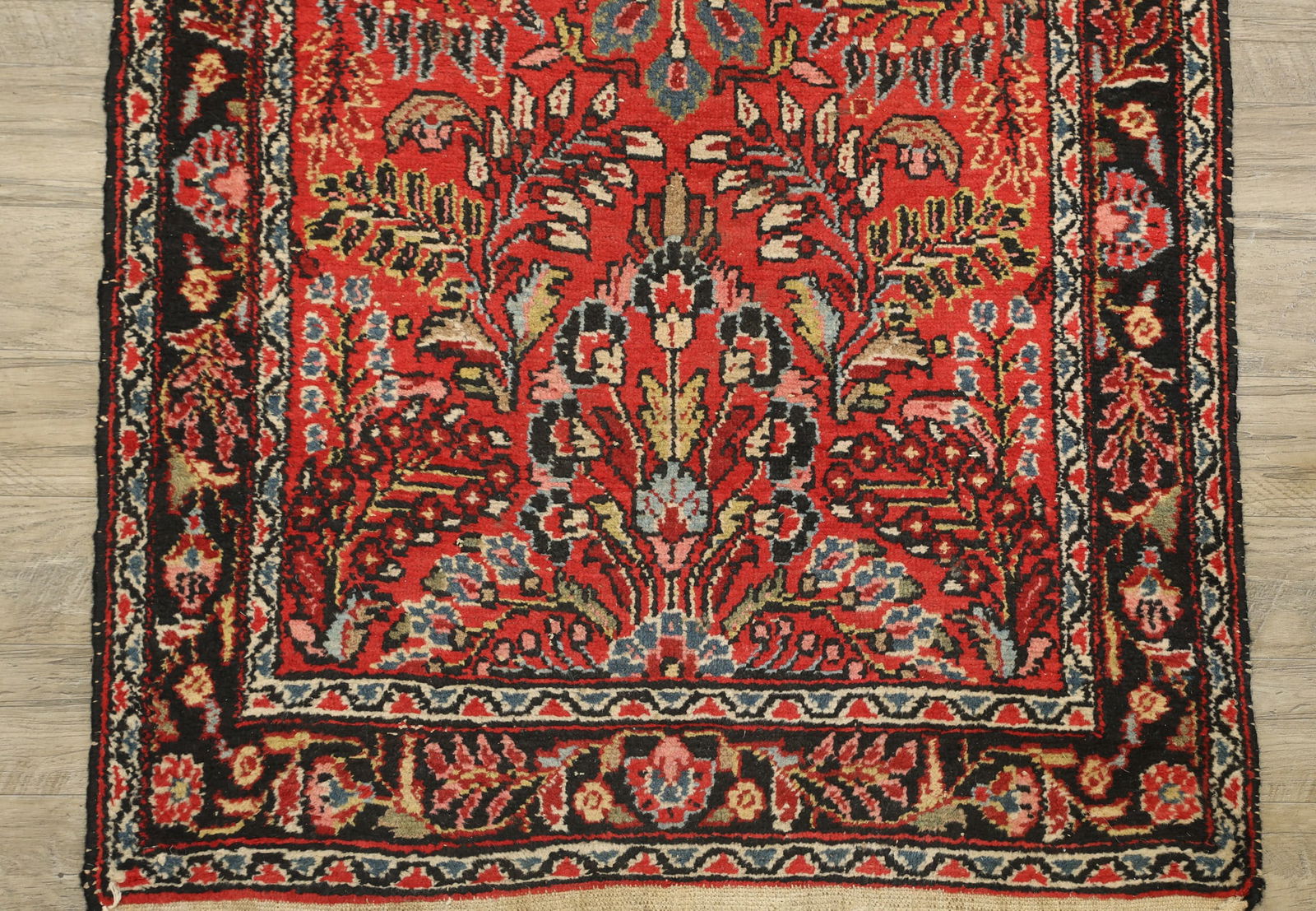 Northwest Persian Runner - 5