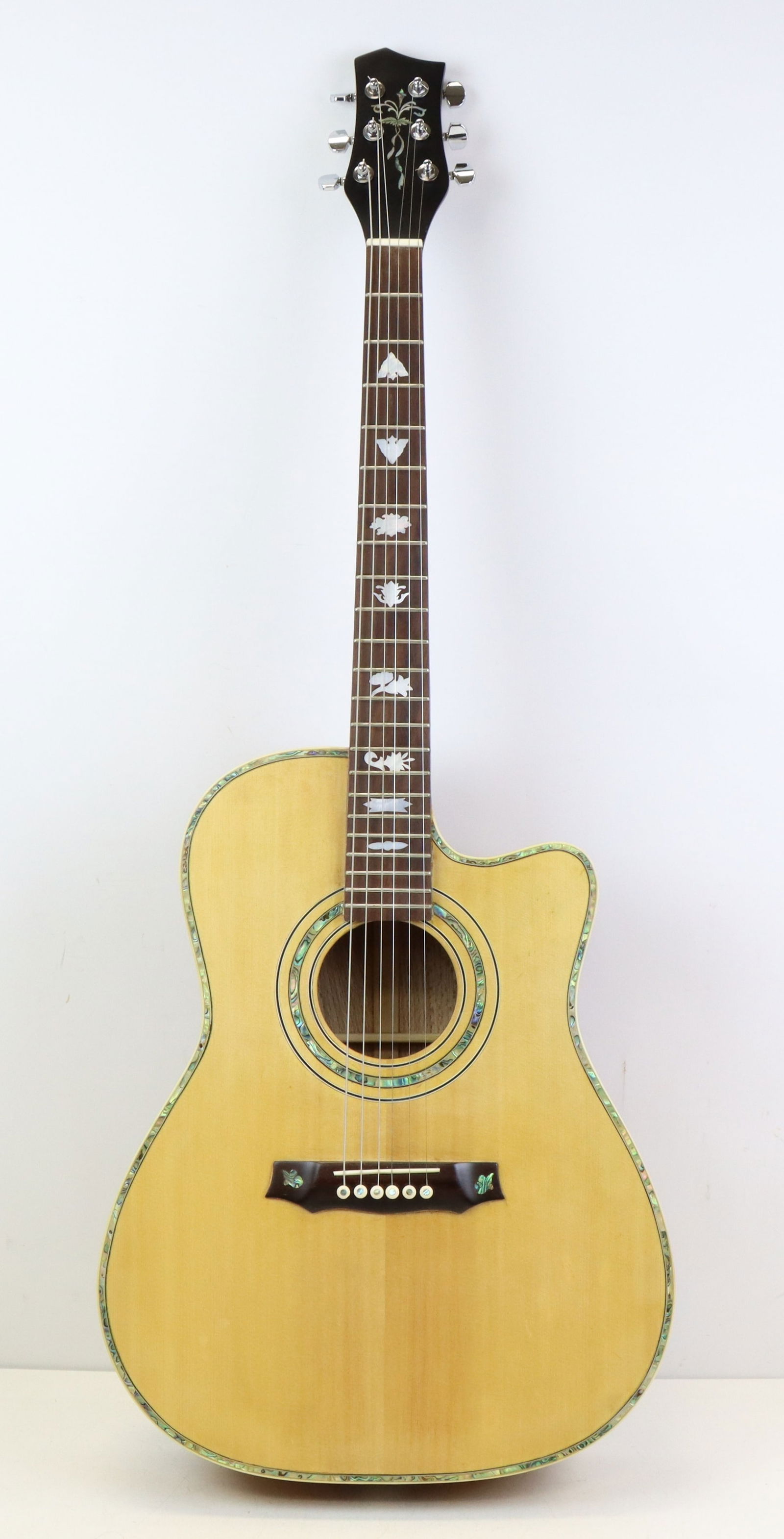 Unbranded Fancy Acoustic Guitar (1 of 13)