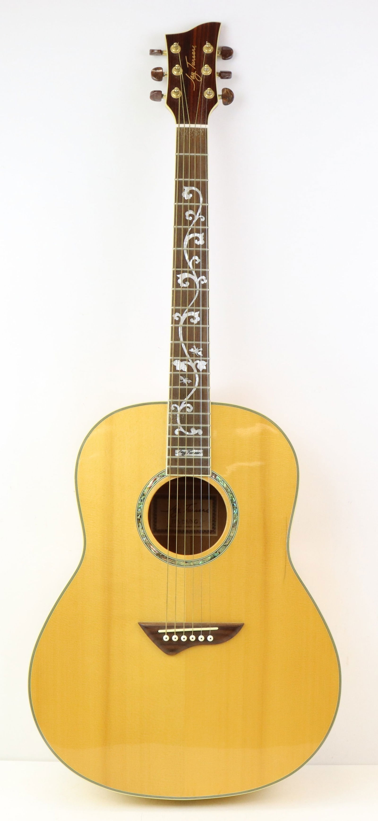 Jay Turser JTA-DS/NG Acoustic Guitar (1 of 17)