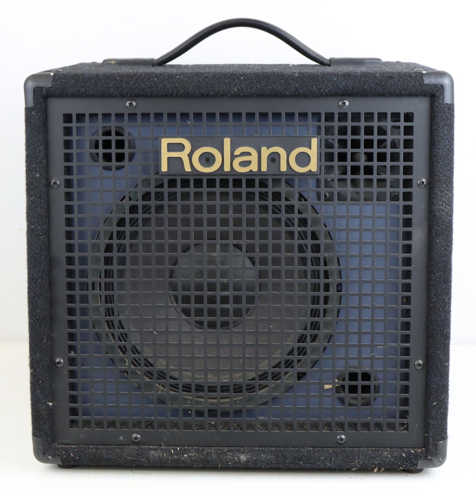 Roland Keyboard Amp (1 of 7)