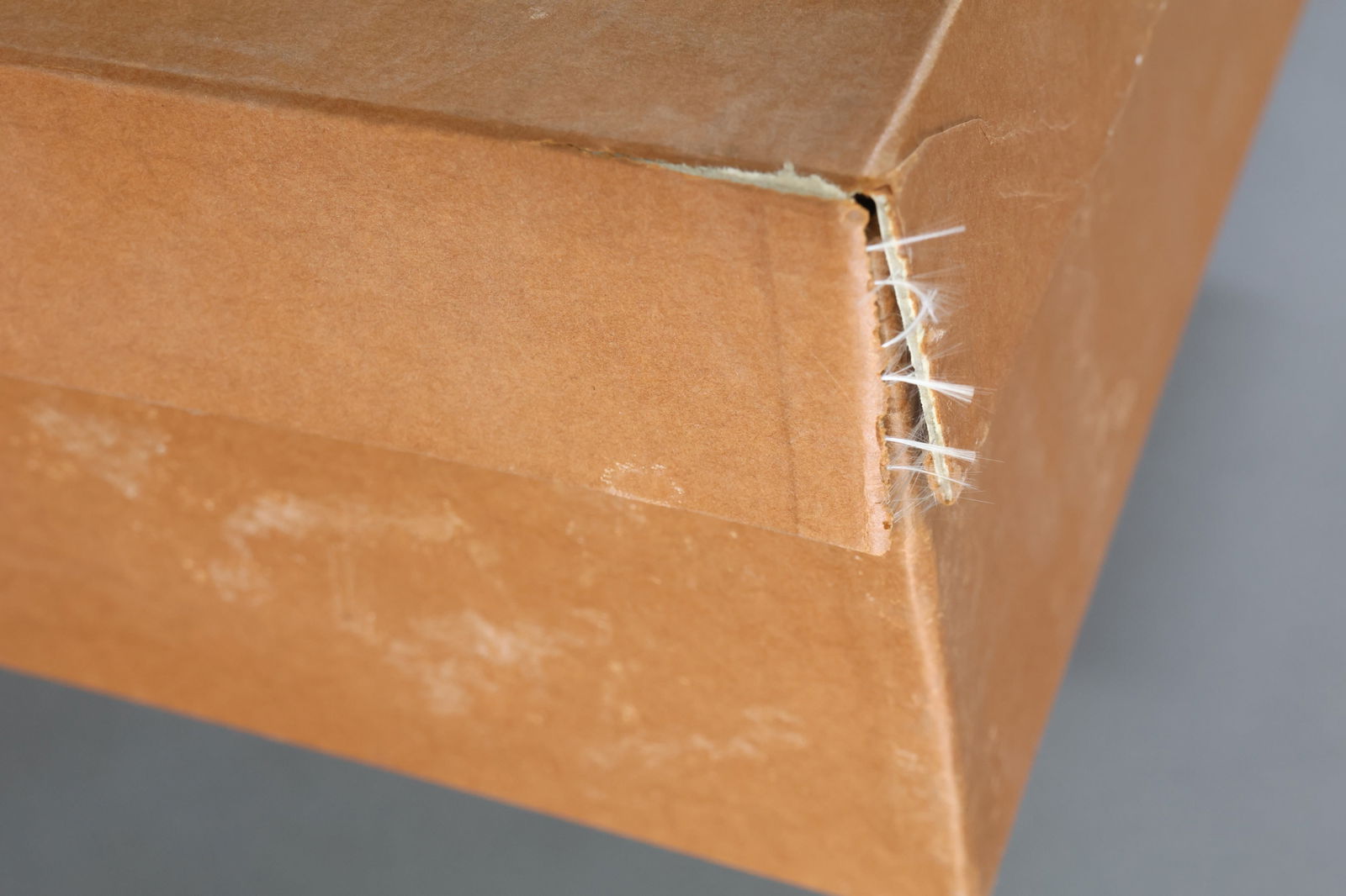 R. JOHN WRIGHT. - 11