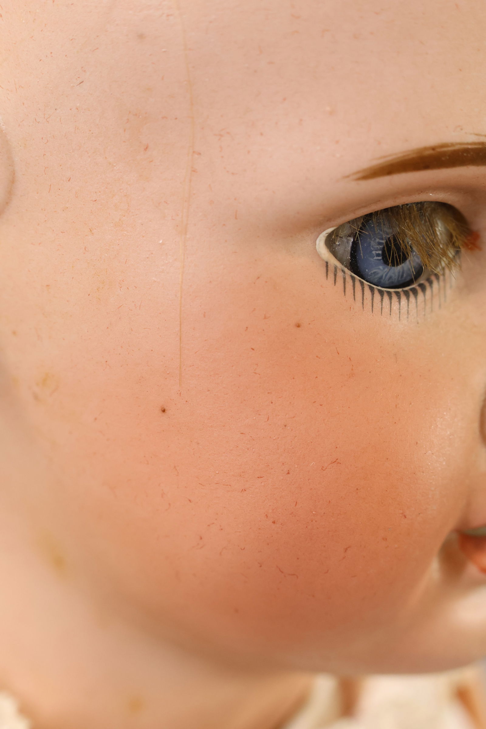 FRENCH BISQUE DOLLS. - 6