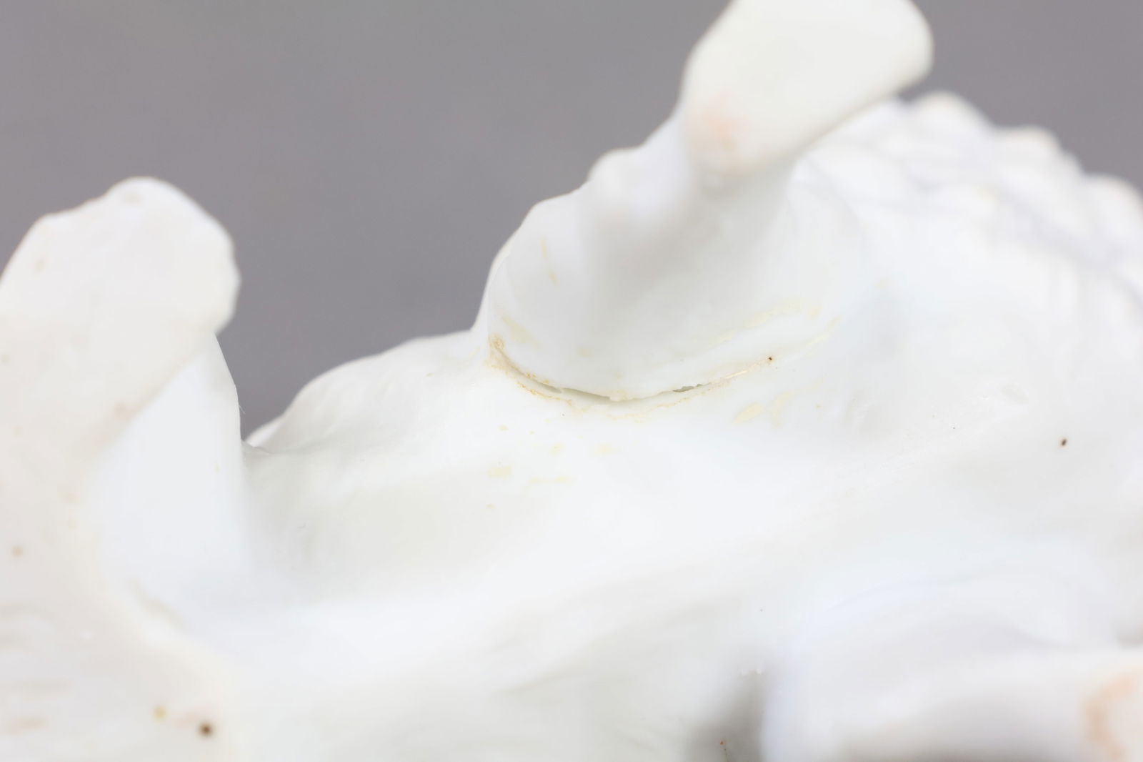 HOLIDAY/NOVELTIES. - 5