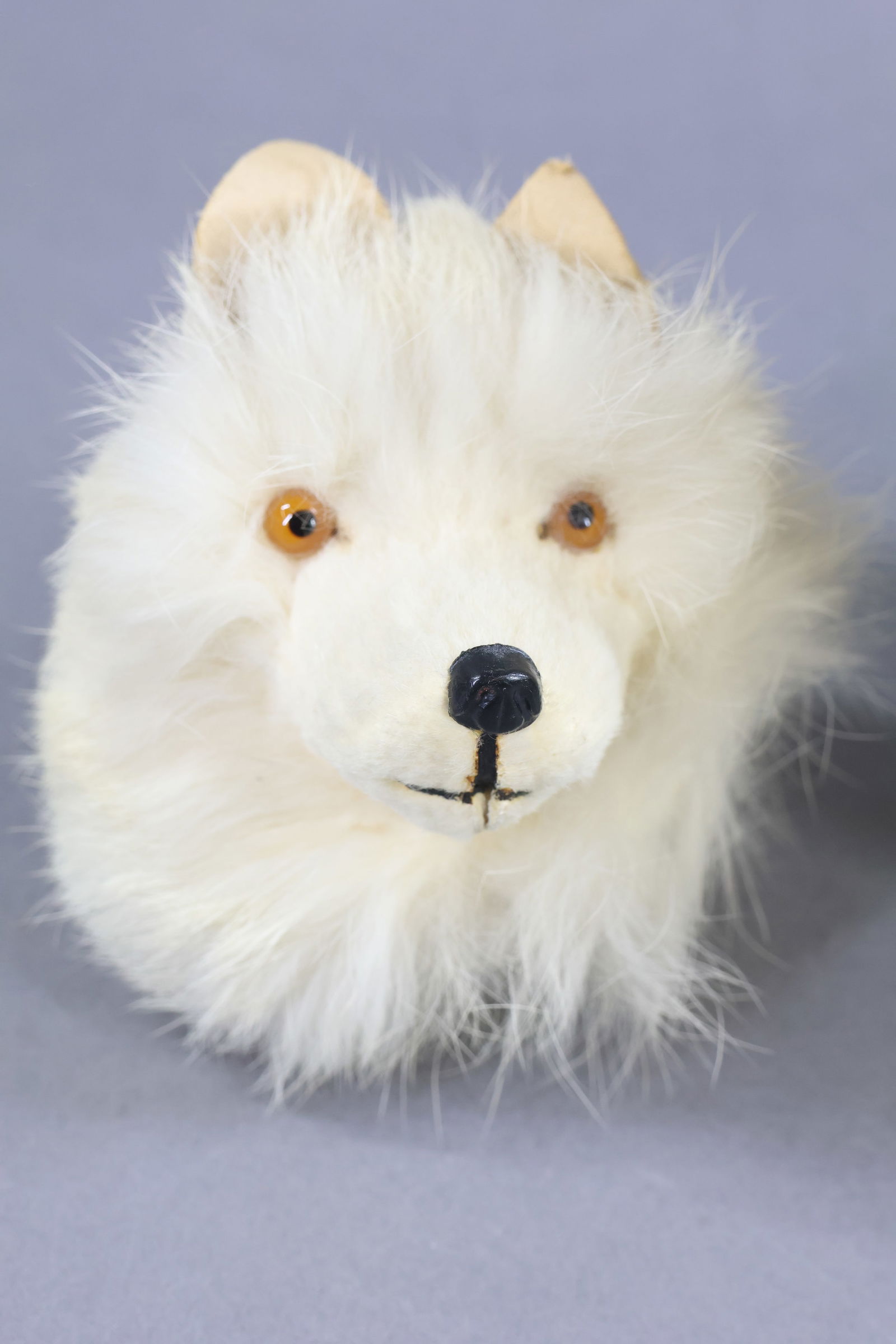 HOLIDAY/NOVELTIES. - 4