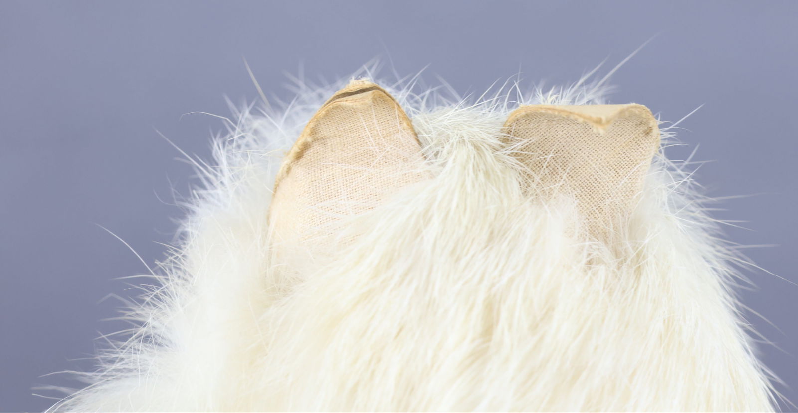 HOLIDAY/NOVELTIES. - 5