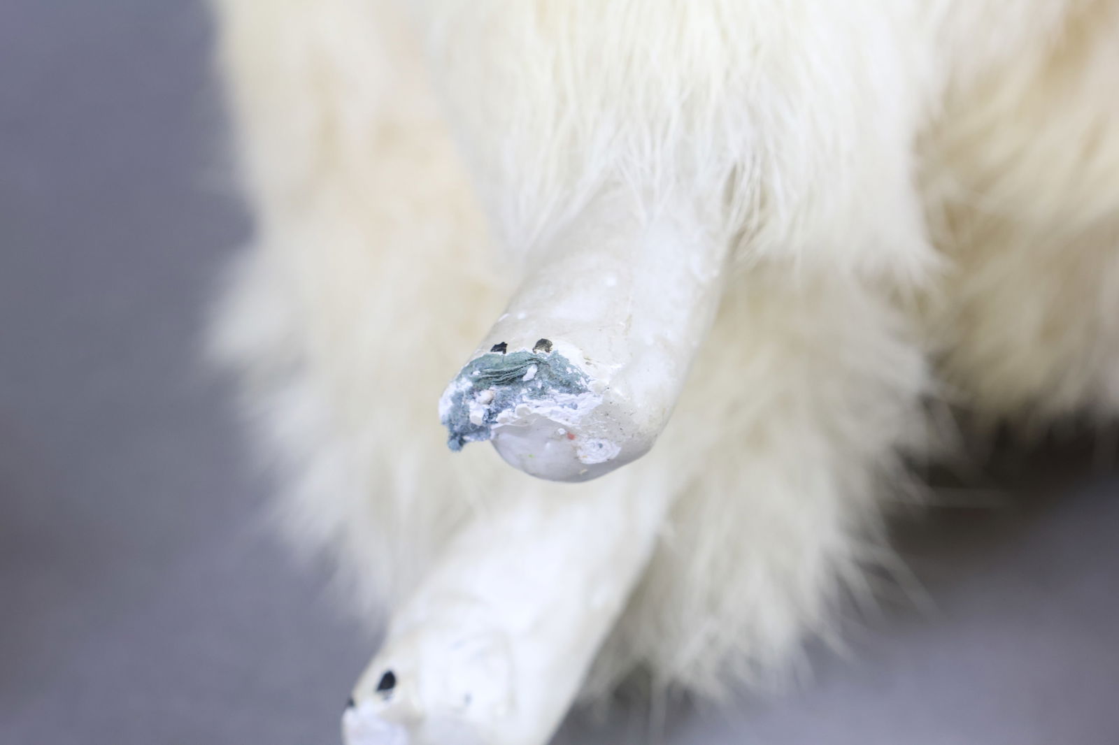 HOLIDAY/NOVELTIES. - 7