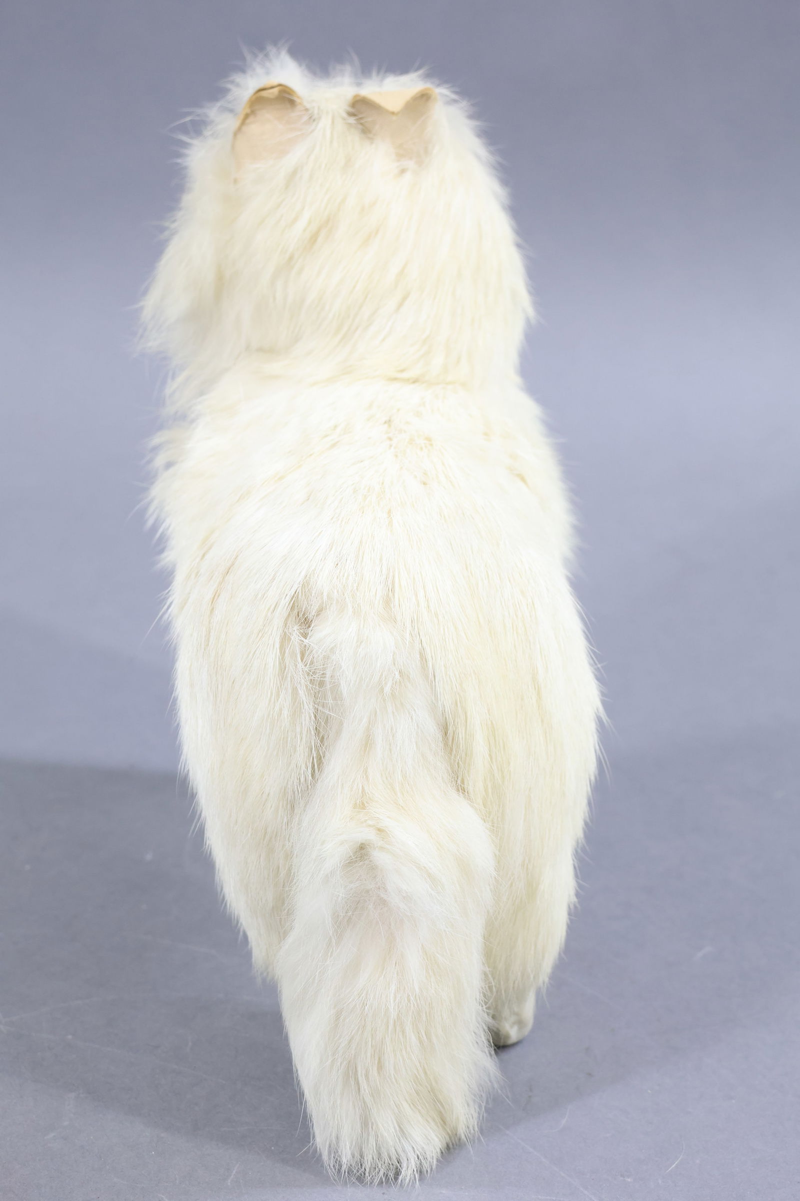 HOLIDAY/NOVELTIES. - 9