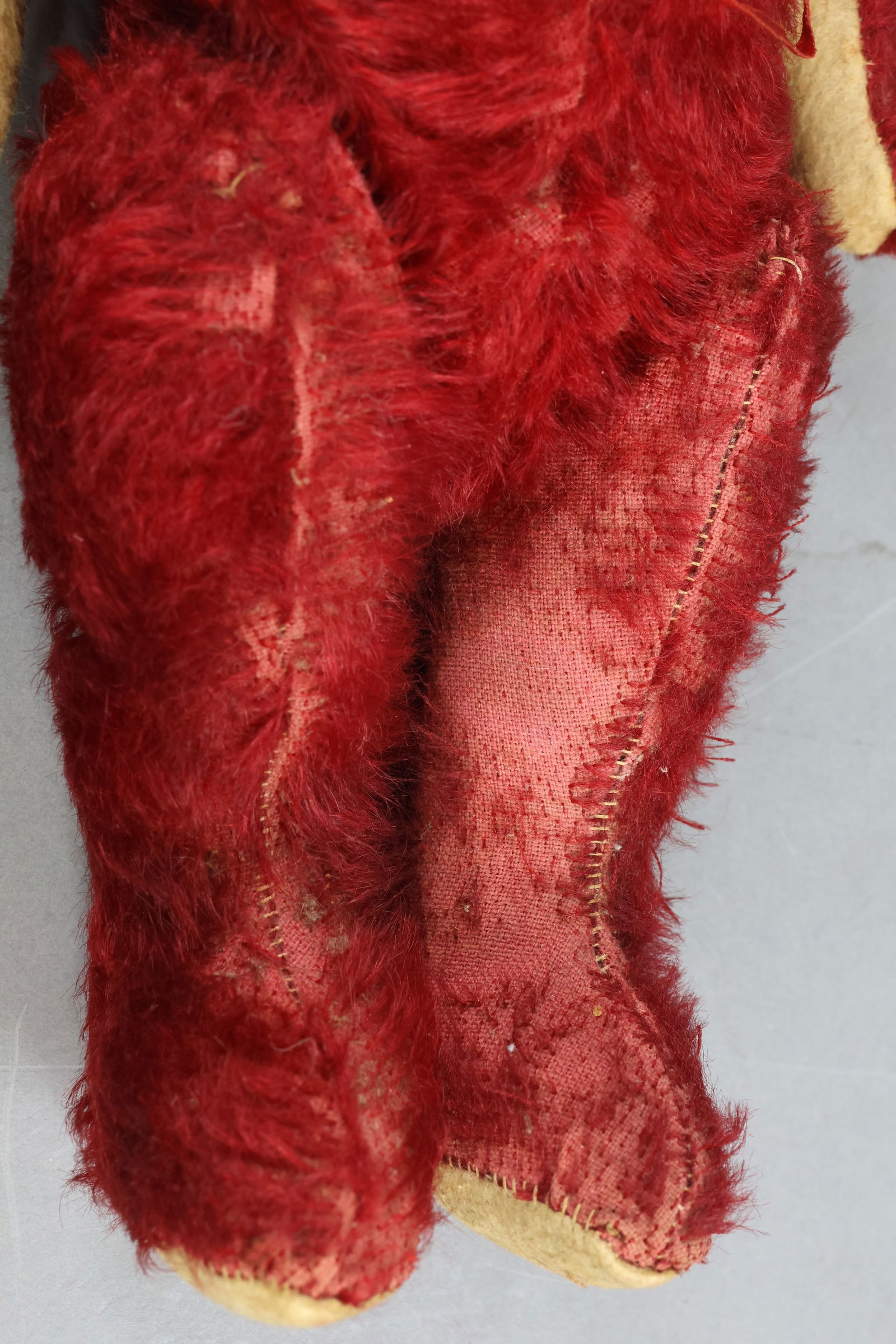 ANTIQUE NOVELTY BEAR. - 3